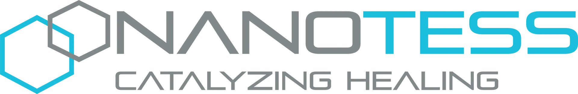 NanoTess logo